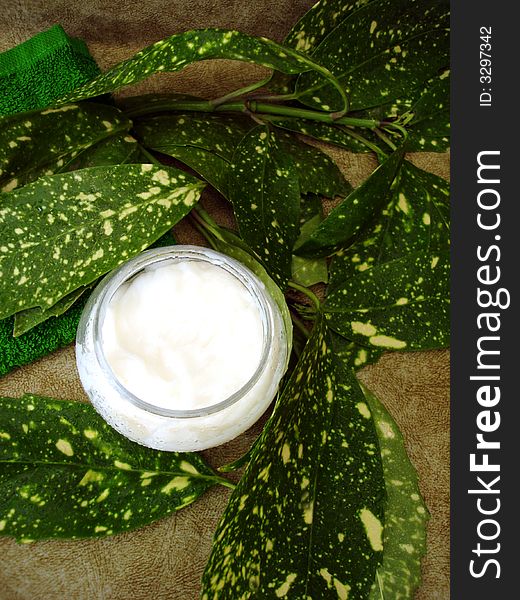 Container of cosmetic moisturizing cream with leaves