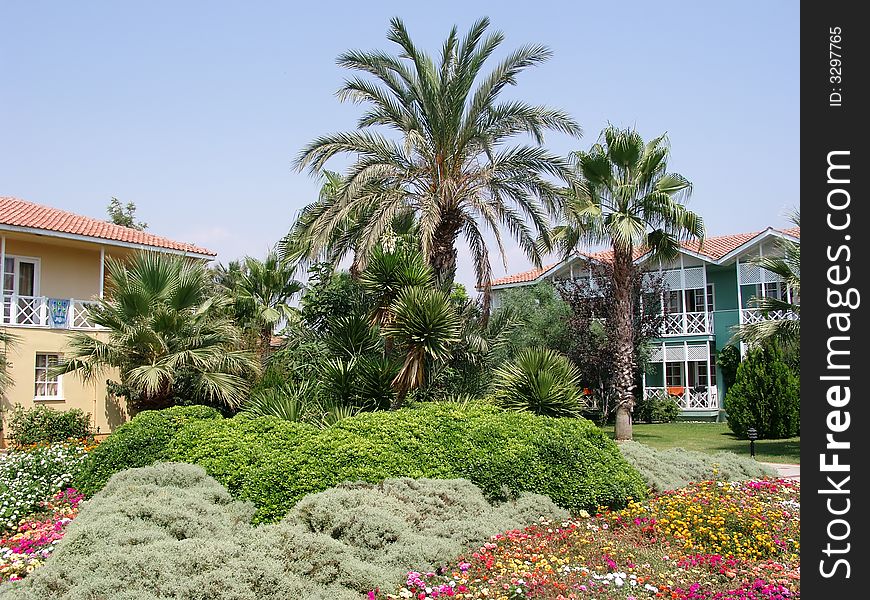 Beautiful resort garden with palm trees and flowers