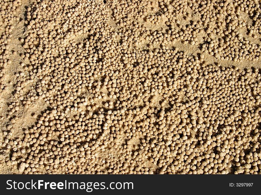 Fraser Island, Australia is the largest sand island in the world