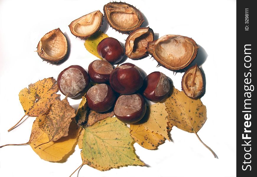 Chestnuts, yellow leaves and chestnut husks isolated on white. Chestnuts, yellow leaves and chestnut husks isolated on white