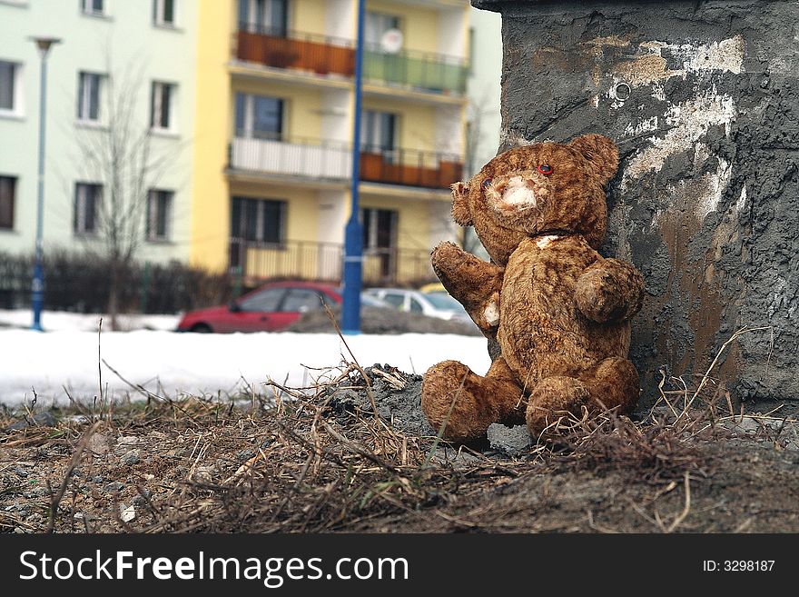 Bear toy alone in big city