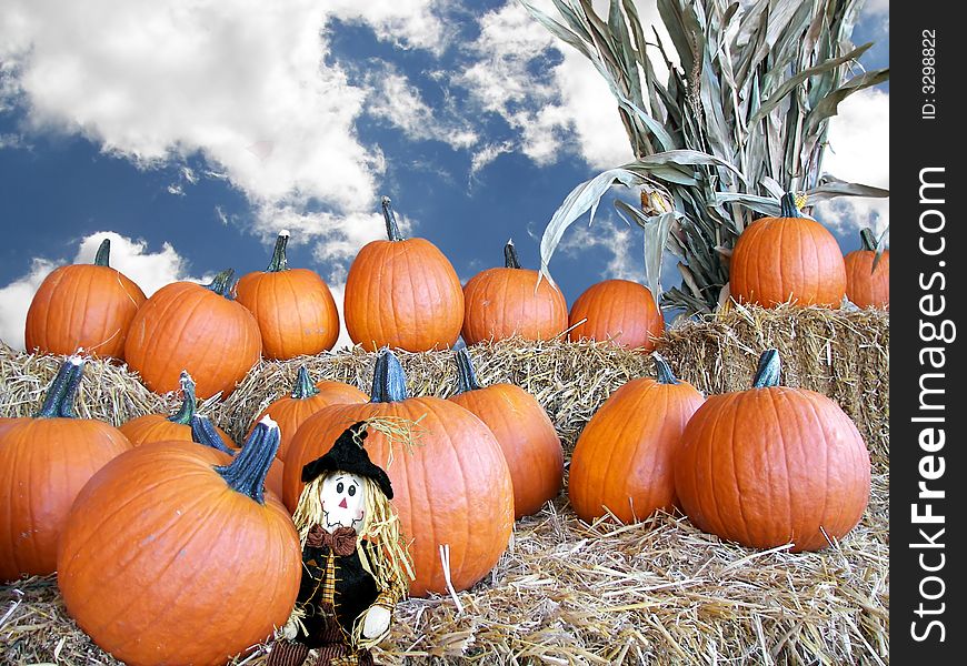 Country scene of pumpkins, corn stalks and a cute scarecrow. Country scene of pumpkins, corn stalks and a cute scarecrow.
