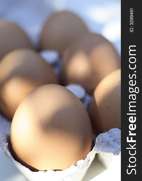 Organic freerange eggs in cardboard eggbox