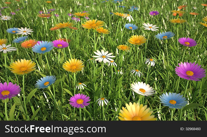 Flowers Of Different Colors, In A Grass Field.