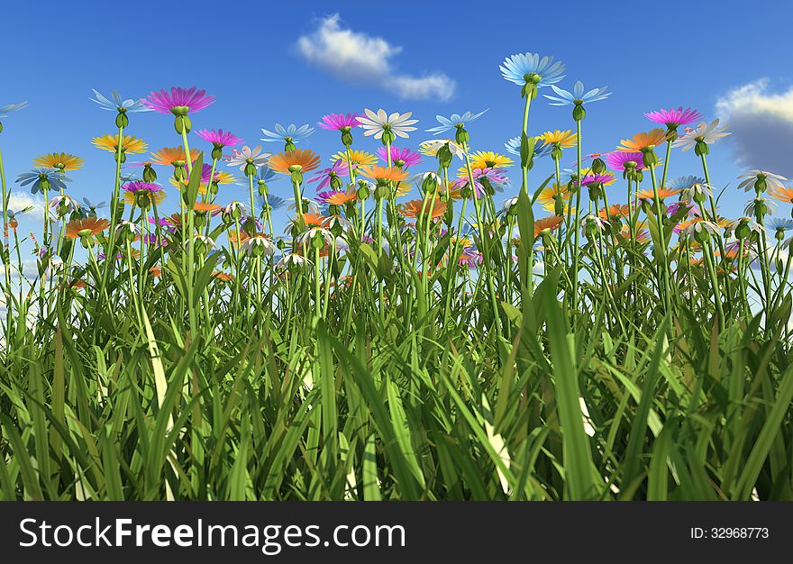 Close up view of a grass filed, plenty of multicolored flowers, viewed from a side with close grass. Close up view of a grass filed, plenty of multicolored flowers, viewed from a side with close grass.