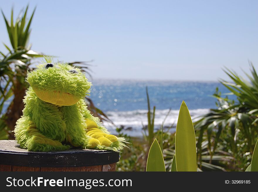 A frog toy in front of the caribbean sea. A frog toy in front of the caribbean sea