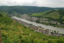 Zell Mosel & Vineyards Royalty Free Stock Images