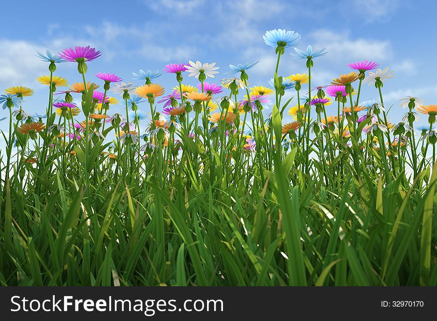 Close up view of a grass filed, plenty of multicolored flowers, viewed from a side with close grass. Close up view of a grass filed, plenty of multicolored flowers, viewed from a side with close grass.