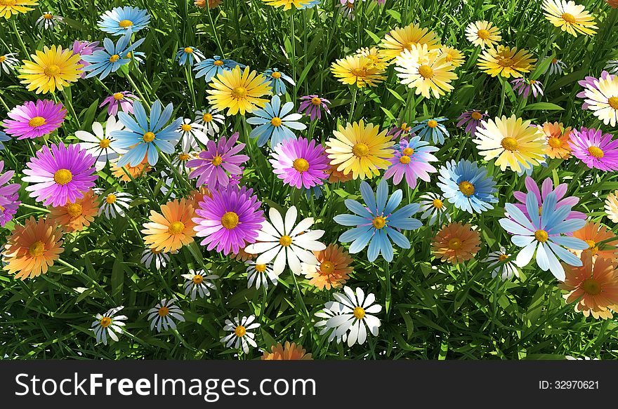 Flowers Of Different Colors, In A Grass Field.