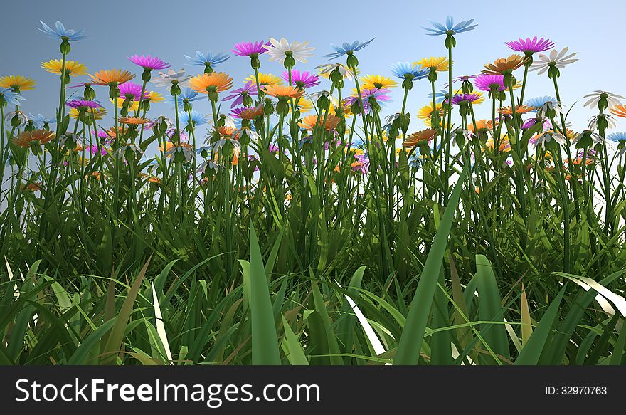 Close up view of a grass filed, plenty of multicolored flowers, viewed from a side with close grass. Close up view of a grass filed, plenty of multicolored flowers, viewed from a side with close grass.