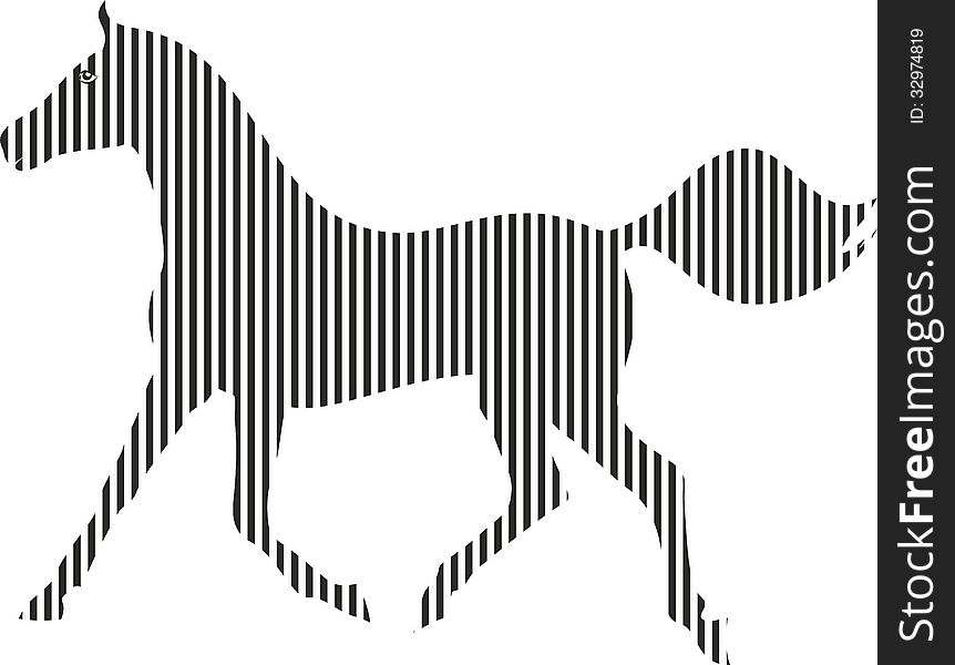 Black-and-white Horse