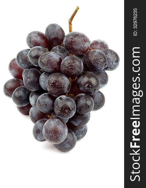 Bunch of Ripe Dark Red Grape with Water Props isolated on white background