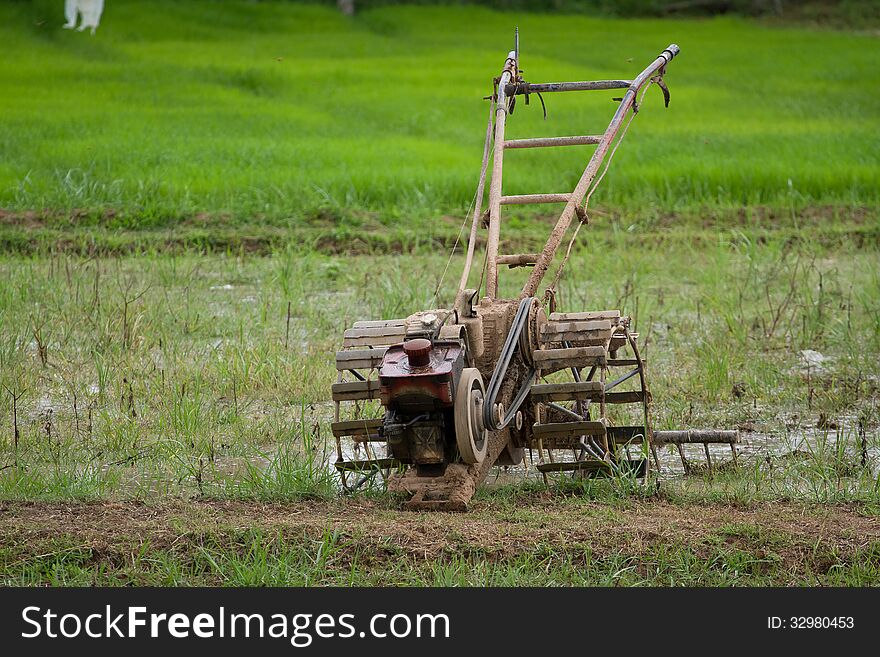 Thai peasant agriculture Farmers are working. Thai peasant agriculture Farmers are working