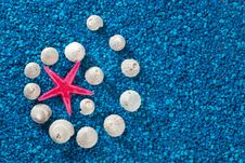 Starfish And Seashells On Blue Background Stock Photo Starfish And Seashells On Blue Background Stock Photo