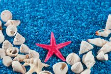 Star-fish And Seashells On Sand Stock Photos Star-fish And Seashells On Sand Stock Photos