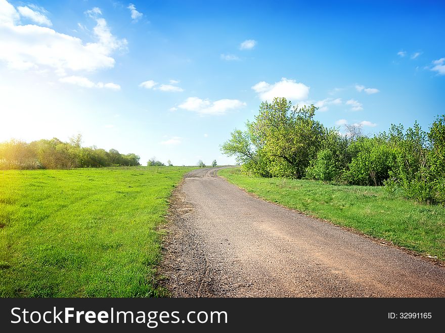 Wide Road In The Field