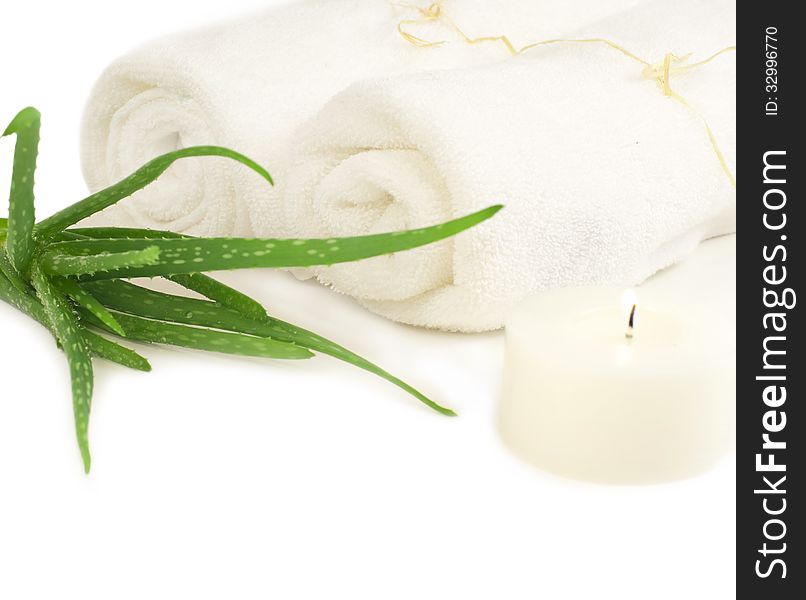 Spa composition with two towels and aloe plant