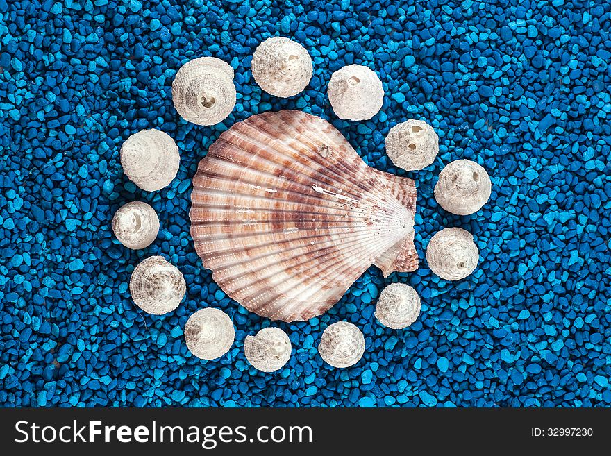 Oister and seashells aranged on blue background