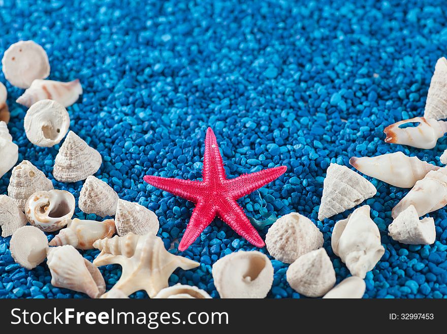 Star-fish and seashells on sand