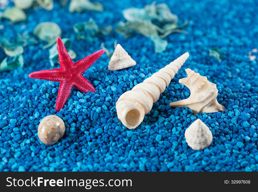 Starfish and seashell on blue sand