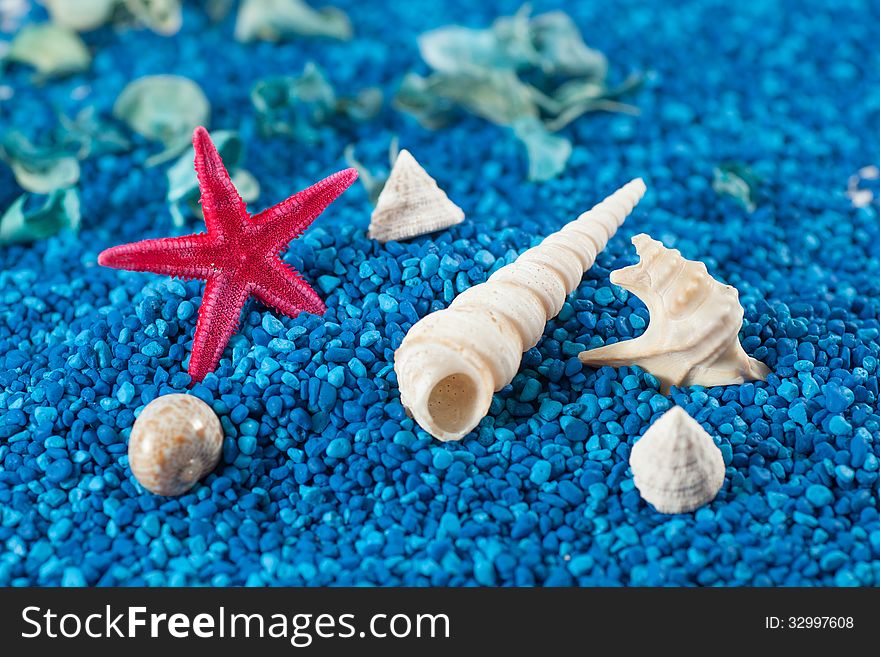 Starfish And Seashell On Blue Sand