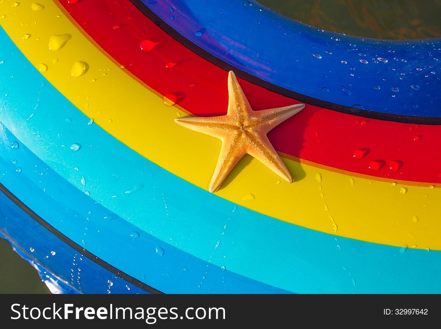 Starfish on a colorful background (red, blue and yellow colored stripes), Starfish on holiday water toy. Starfish on a colorful background (red, blue and yellow colored stripes), Starfish on holiday water toy