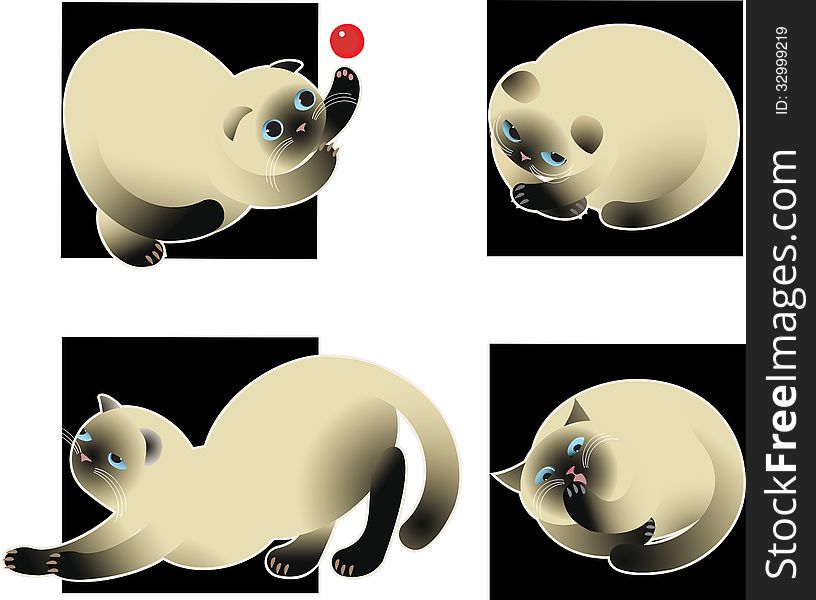 Siamese cats avatars on black background. Siamese cats avatars on black background