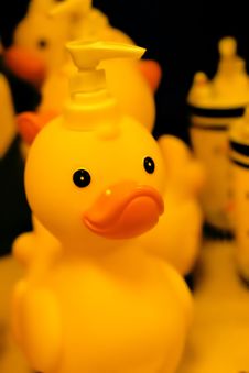 Rubber Duck Stock Image