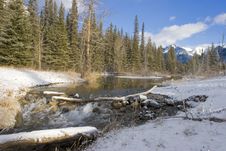 Mountain Creek In Winter Royalty Free Stock Image Mountain Creek In Winter Royalty Free Stock Image