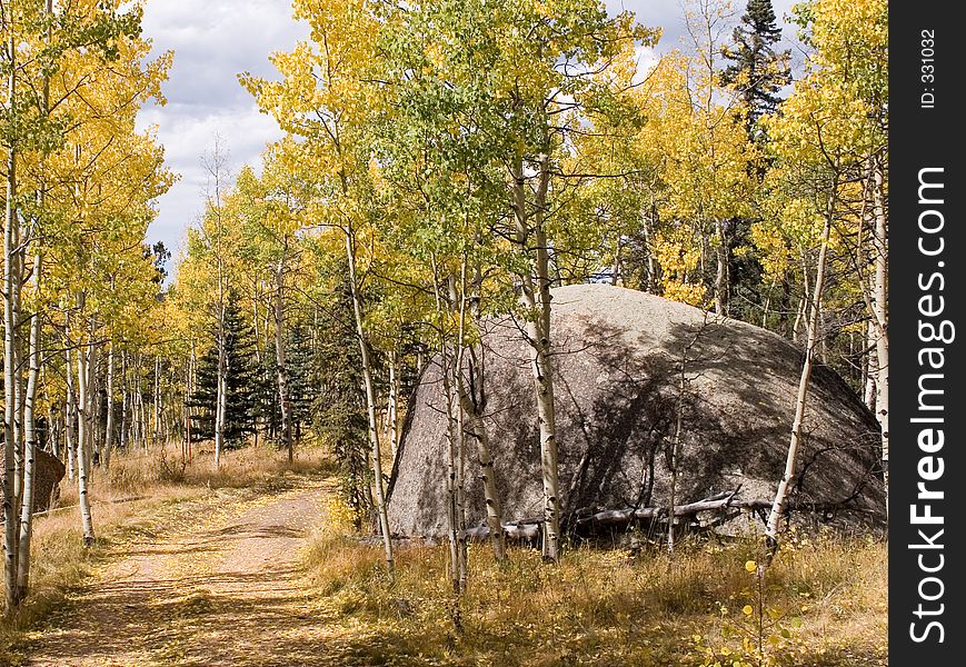 A dirt road in the Pike National Forest of Colorado winds its way through aspens in full fall colors and beside large boulders - horizontal orientation. A dirt road in the Pike National Forest of Colorado winds its way through aspens in full fall colors and beside large boulders - horizontal orientation.