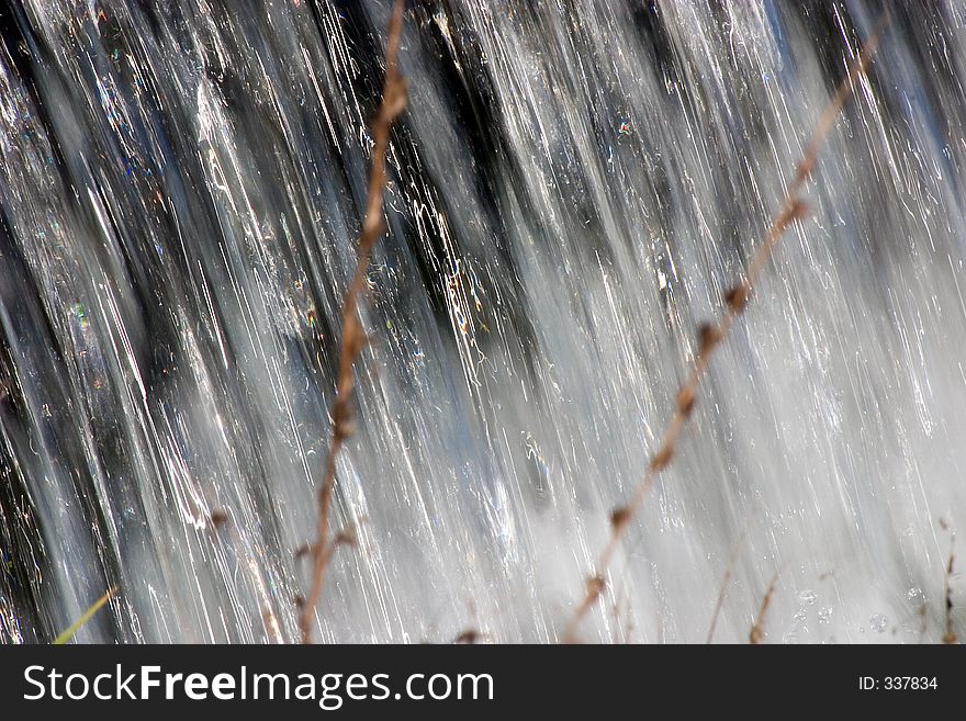 Some fast moving water dropping behind some seed heads