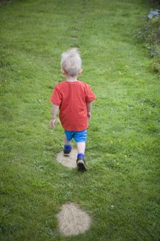 Little Boy Exploring Stock Photo Little Boy Exploring Stock Photo