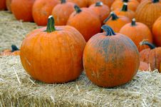 Pumpkins Royalty Free Stock Image Pumpkins Royalty Free Stock Image