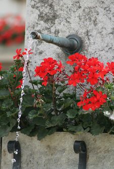 Fountain Royalty Free Stock Images Fountain Royalty Free Stock Images