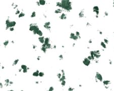 Background Texture Rust Medium Royalty Free Stock Images Background Texture Rust Medium Royalty Free Stock Images