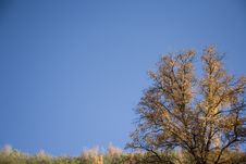 Fall Colors Royalty Free Stock Photography Fall Colors Royalty Free Stock Photography