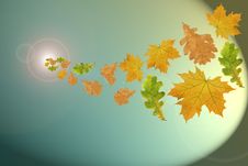 Flying Multi-coloured Leaves Stock Photography Flying Multi-coloured Leaves Stock Photography