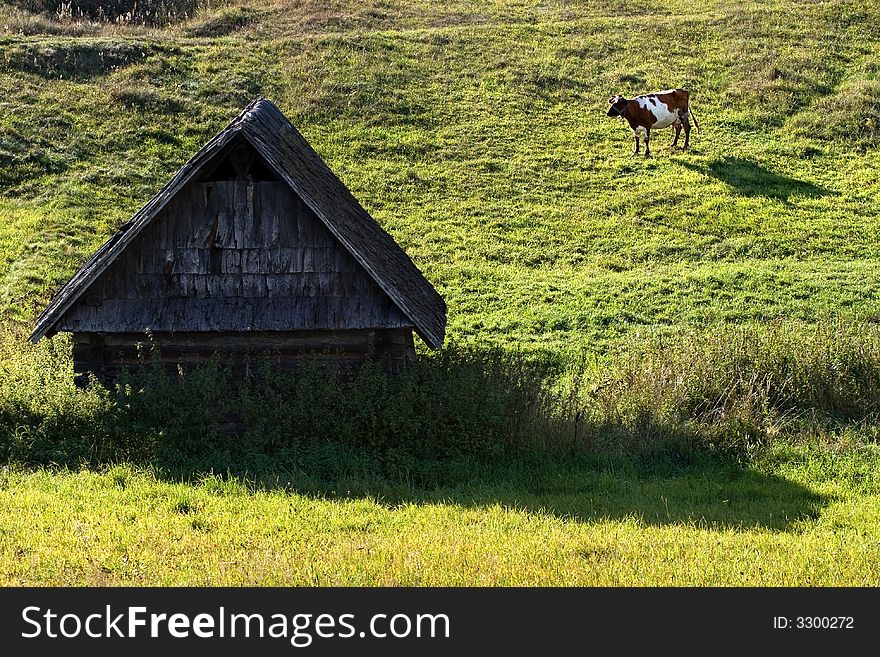 Flying Cow and old house