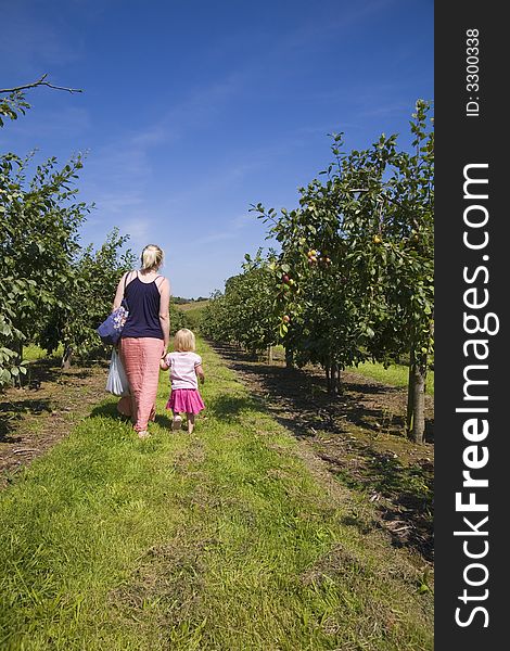 Mother and daughter holding hands walking in an orchard. Mother and daughter holding hands walking in an orchard