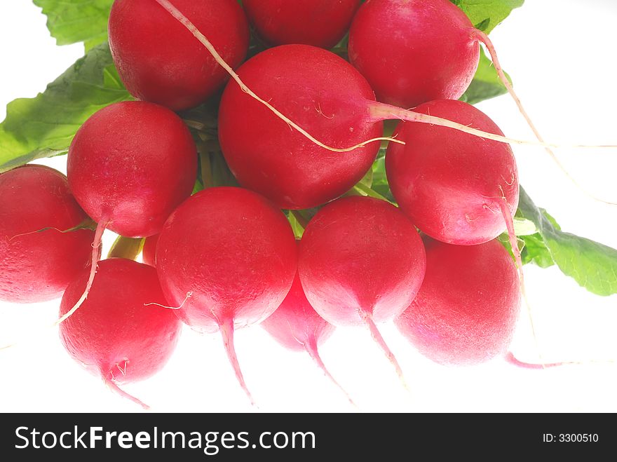 Bunch of red radish on white background