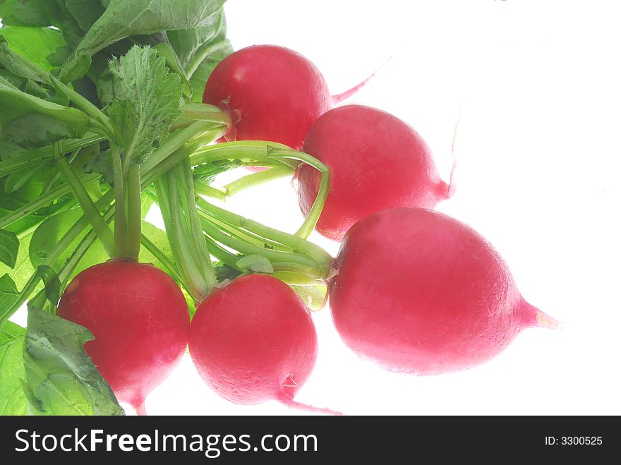 Red radishes on white background