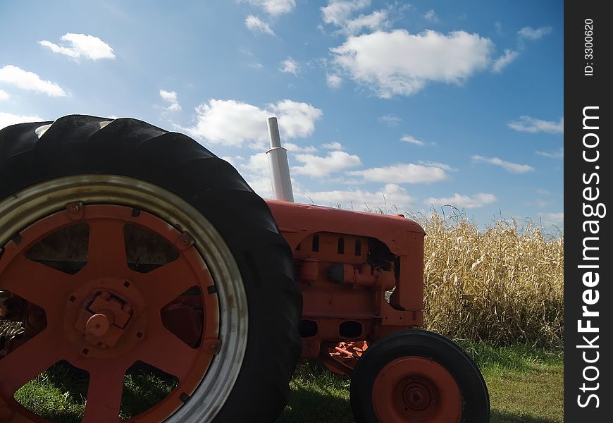 Tractor in front of a corn field in early fall. Tractor in front of a corn field in early fall