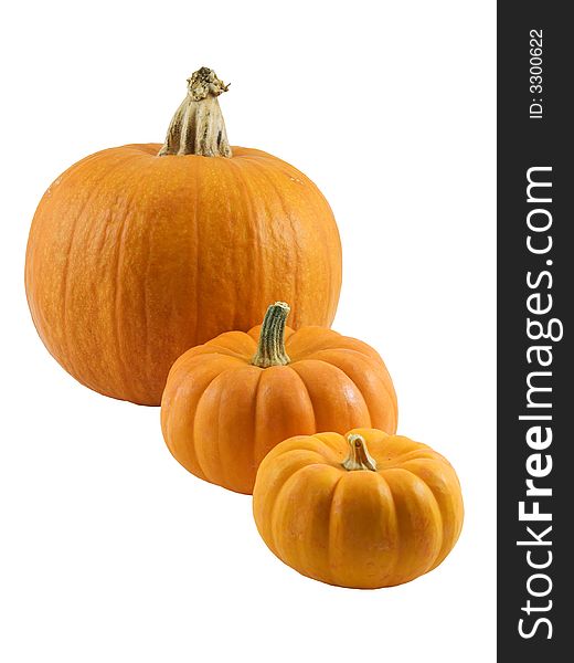 Three pumpkins lined up, isolated on white