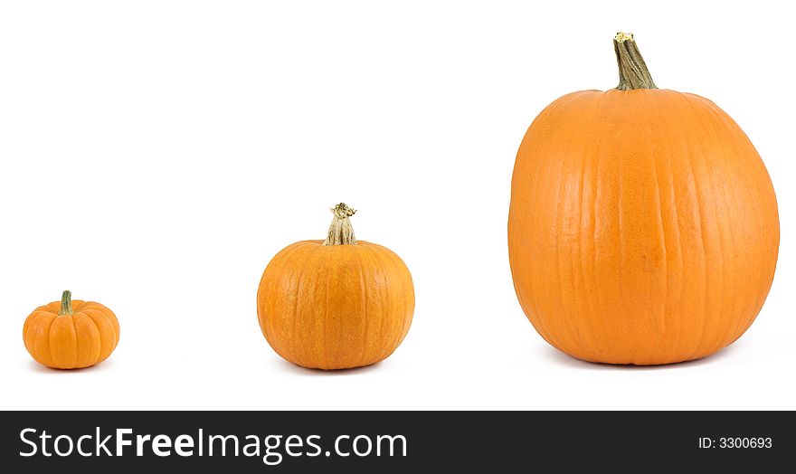 Three pumpkins lined up, isolated on white