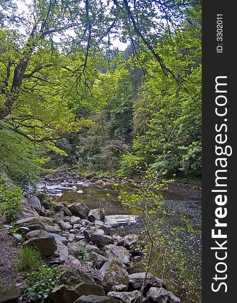 The river at the hermitage,
river braan,
near pitlochry,
perthshire,
scotland,
united kingdom. The river at the hermitage,
river braan,
near pitlochry,
perthshire,
scotland,
united kingdom.