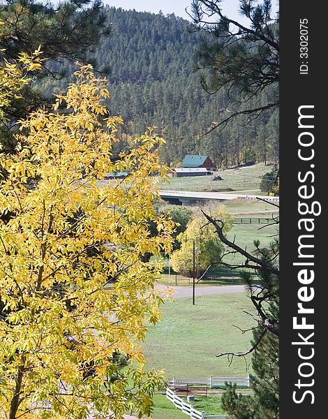 Yellow tree with a house in a valley on background. Yellow tree with a house in a valley on background