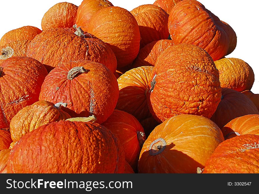 A pile of orange rough skinned pumpkins against a white background. A pile of orange rough skinned pumpkins against a white background