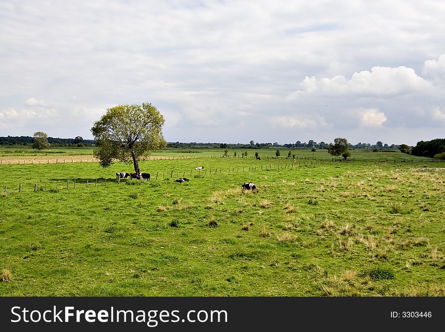 Beautiful green countryside landscape, Poland. Beautiful green countryside landscape, Poland