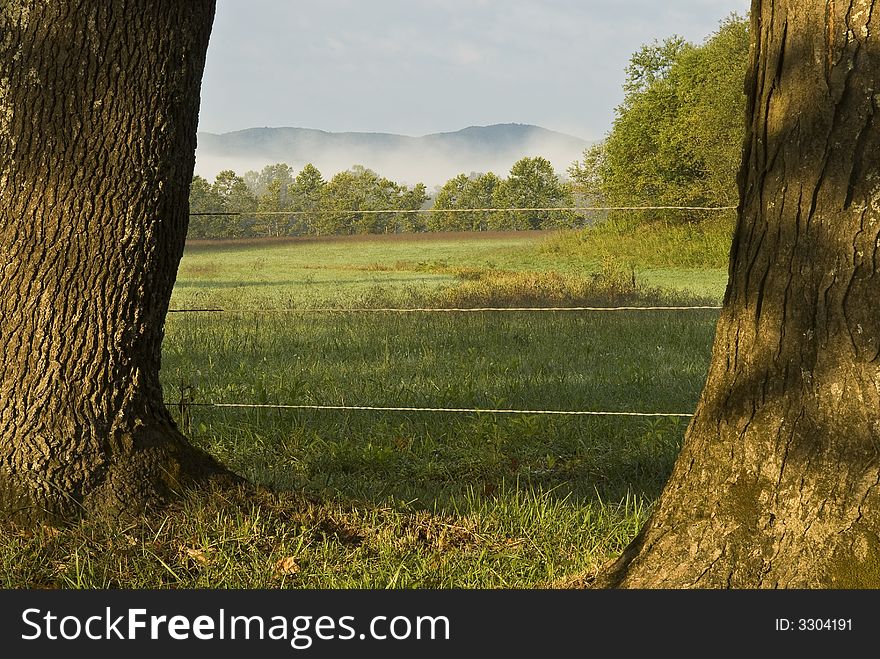 Morning scenic view framed with walnut trees with mountains and fog in the background. Morning scenic view framed with walnut trees with mountains and fog in the background.