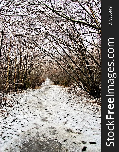 Winter weather, ice storm, along walking trail